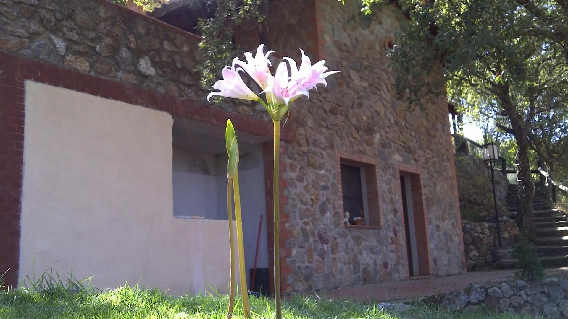 Country house Agriturismo La Quercia Guest House Arbus