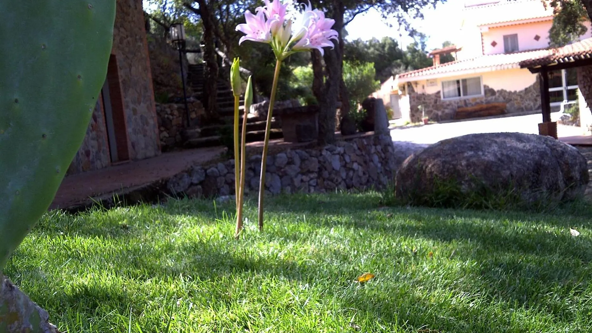 Agriturismo La Quercia Guest House Arbus Italy