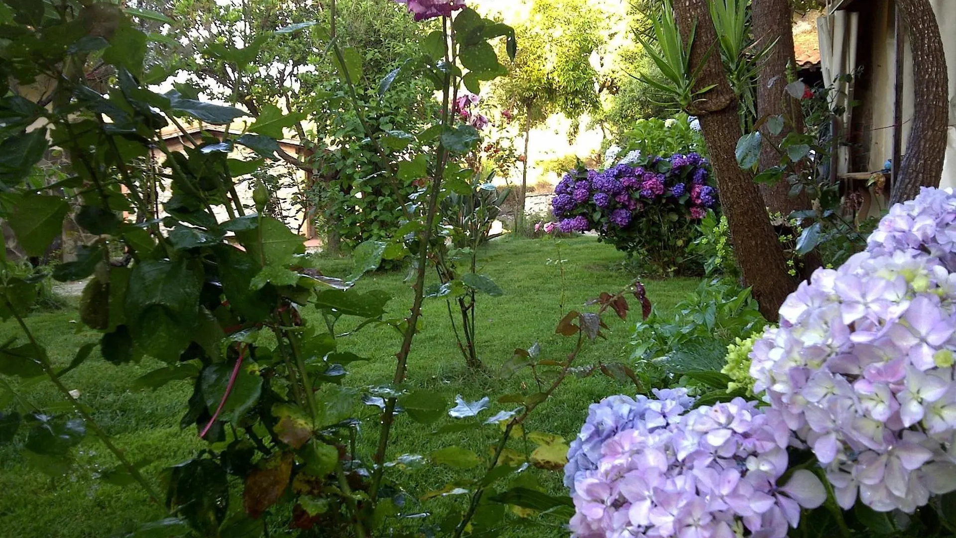 Country house Agriturismo La Quercia Guest House Arbus Italy