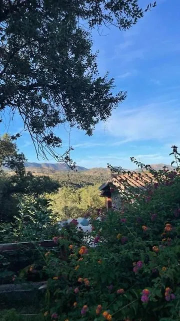 Agriturismo La Quercia Guest House Arbus Country house